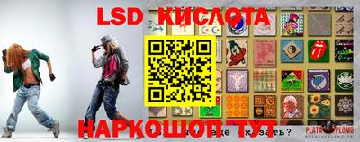 индика Кунгур