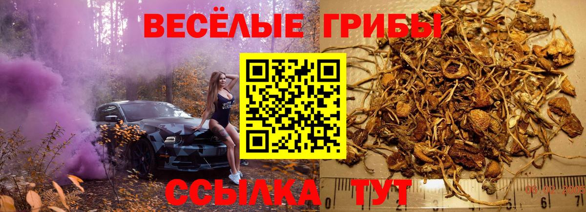 Галлюциногенные грибы MAGIC MUSHROOMS Кашира