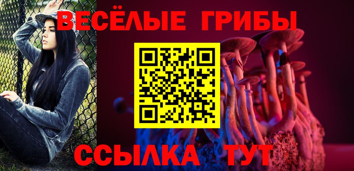 Кашира  Псилоцибиновые грибы мицелий  Вход с VPN 